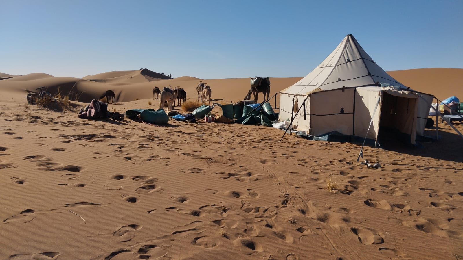 Trekking  in the Heart of the Dunes: From Marrakech or Agadir
