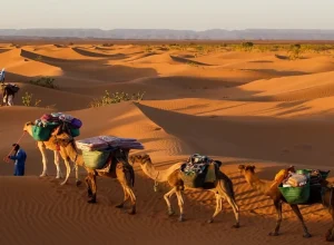 trek desert morocco