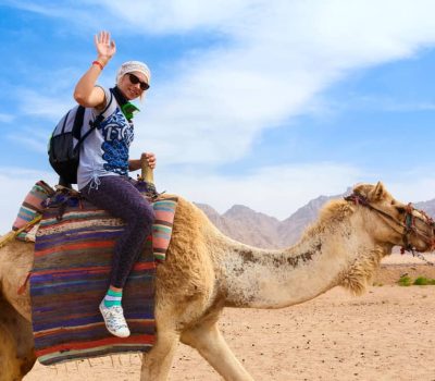 trek desert morocco